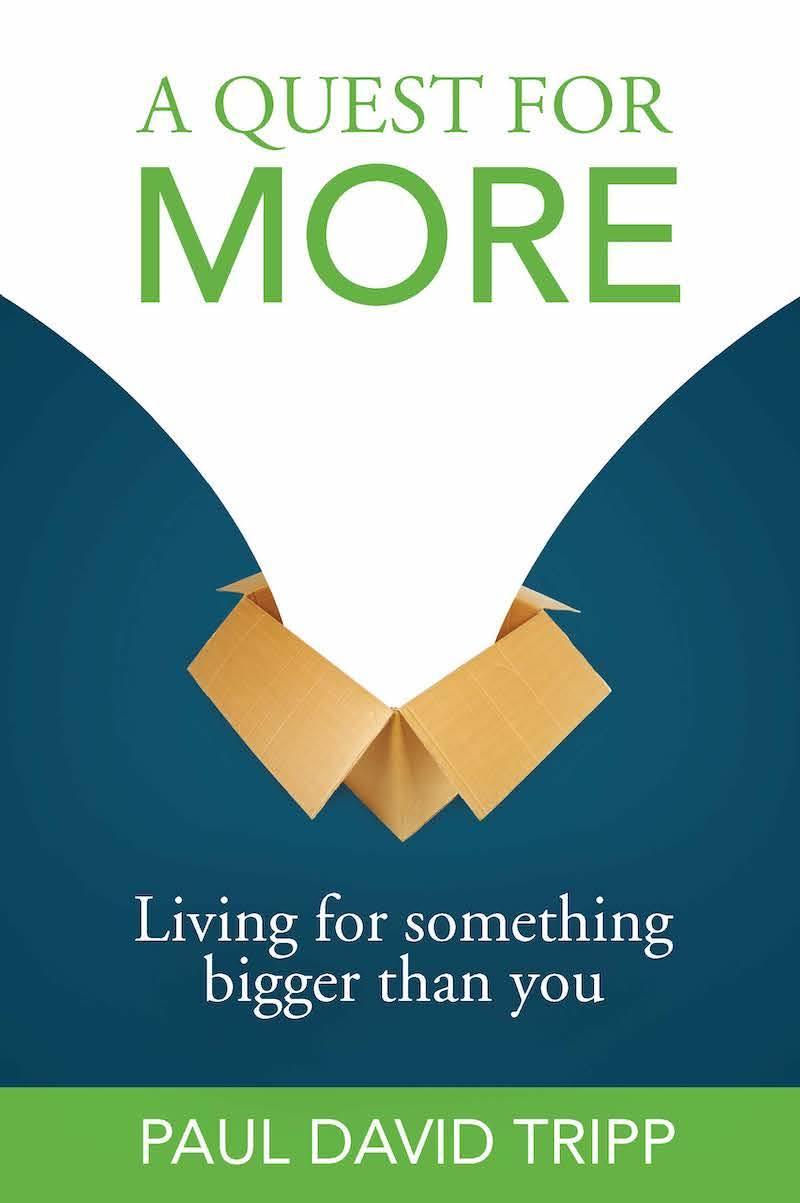 Book cover for A Quest for More: Living for Something Bigger than You
