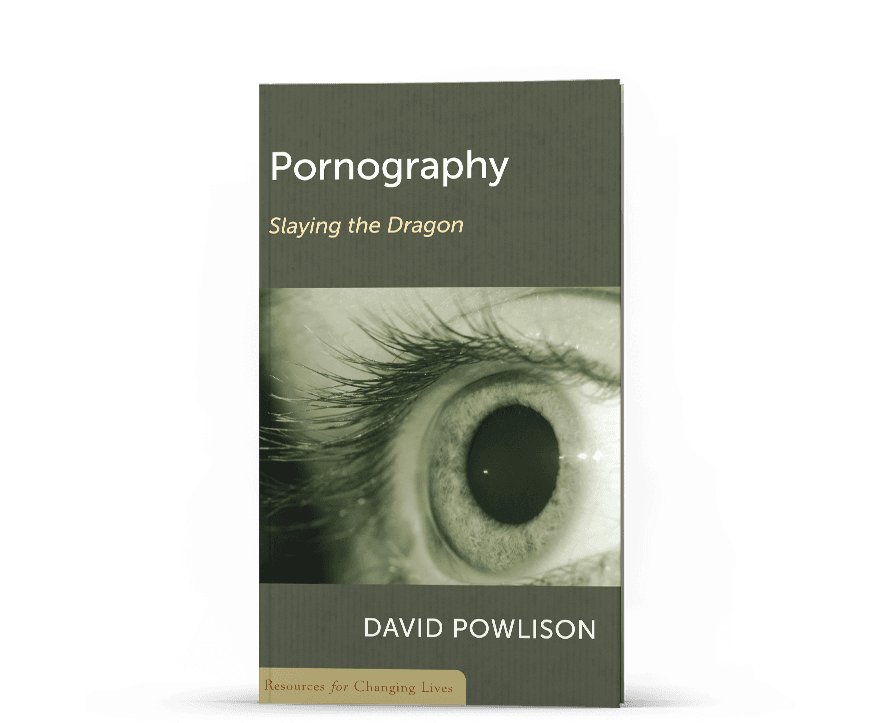 Book cover for Pornography: Slaying the Dragon