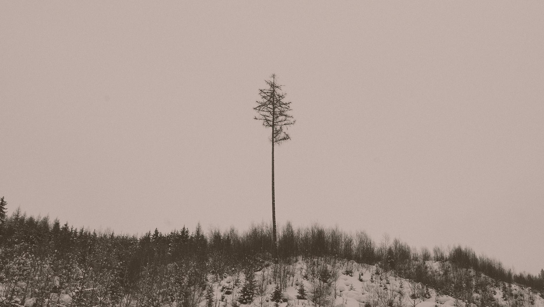 Fear of Being Alone Featured Image