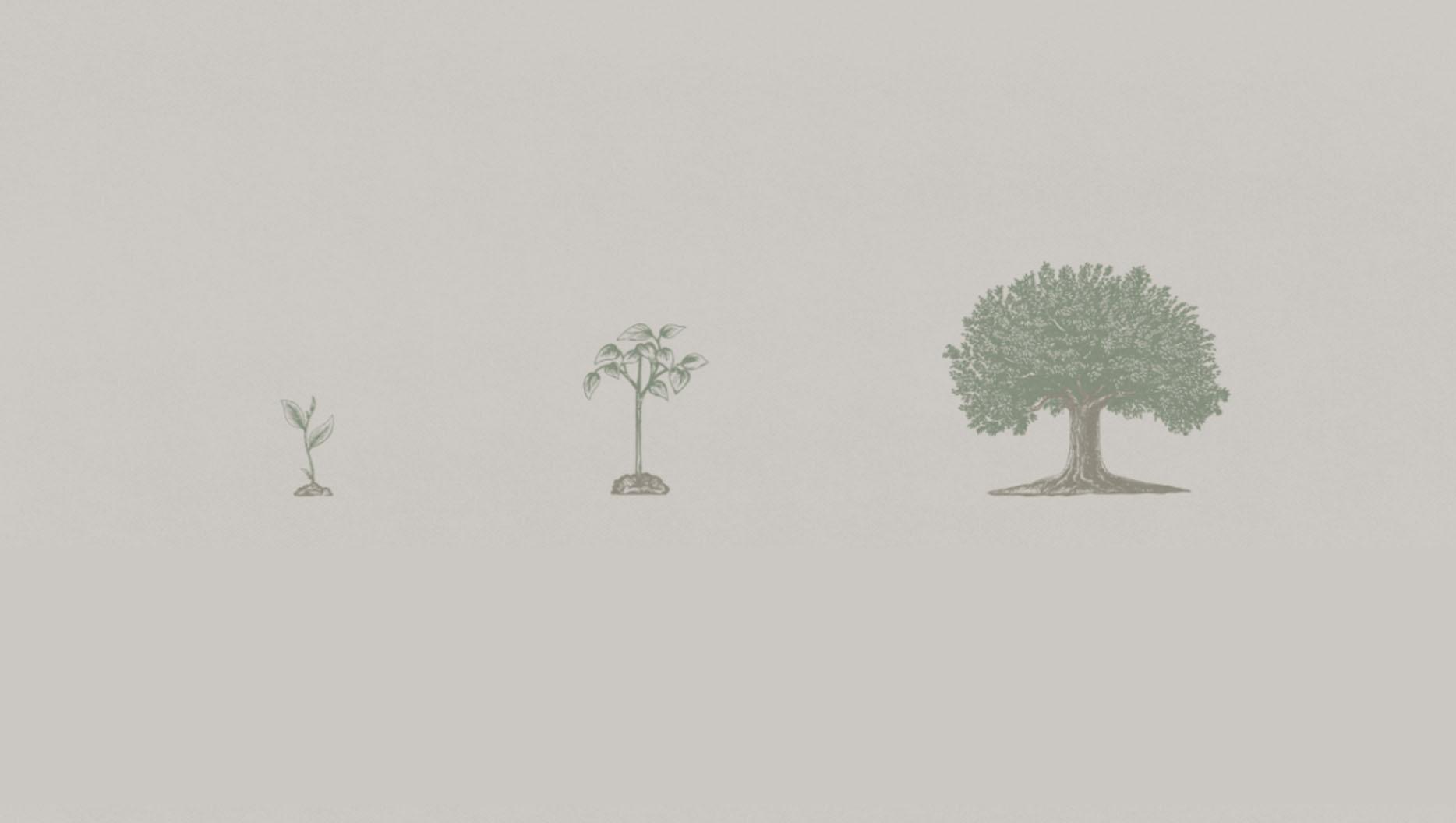 An Open Letter to Those Frustrated by Their Progress in Sanctification Featured Image