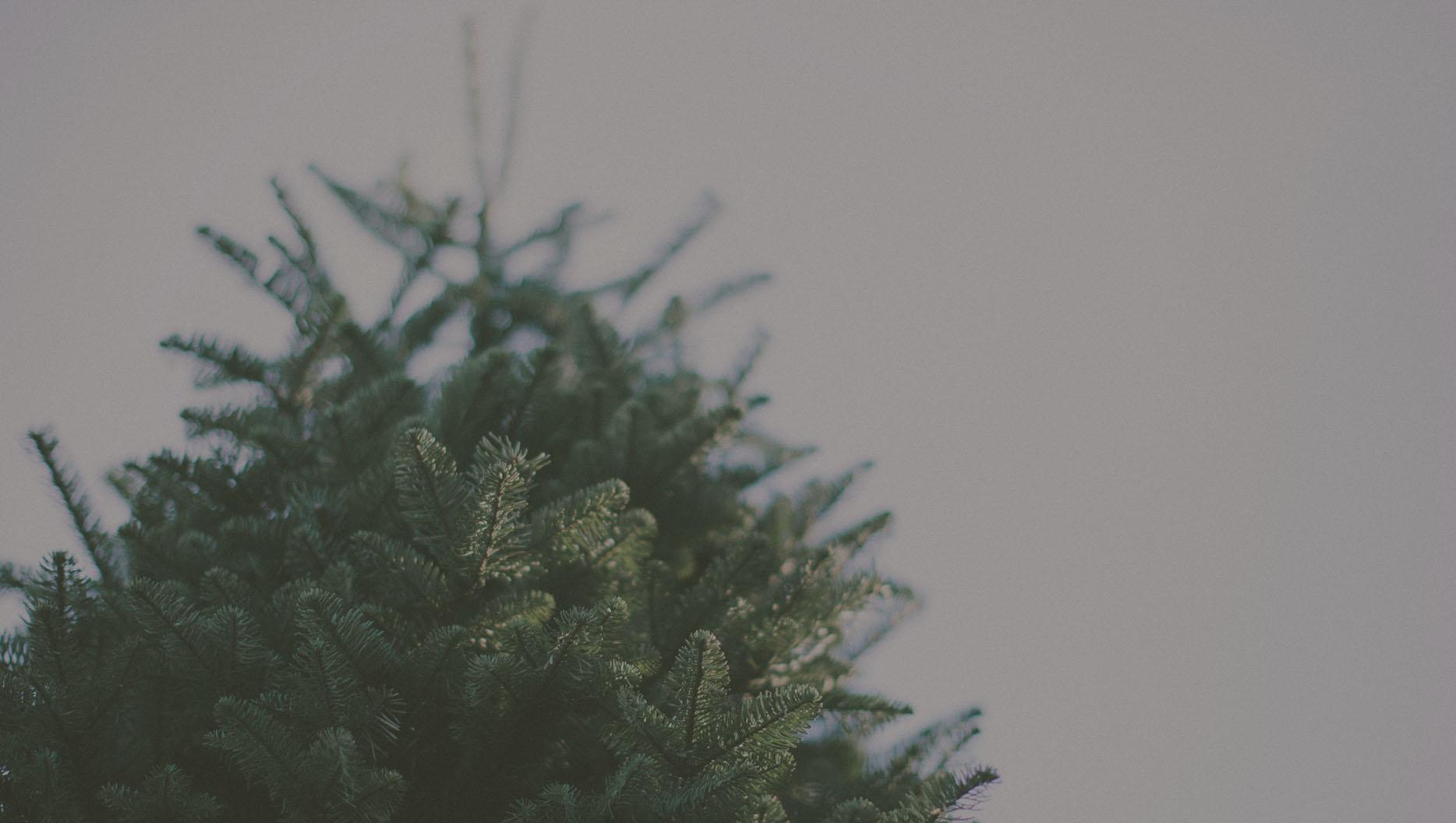 (Un)decorating the Christmas Tree Featured Image
