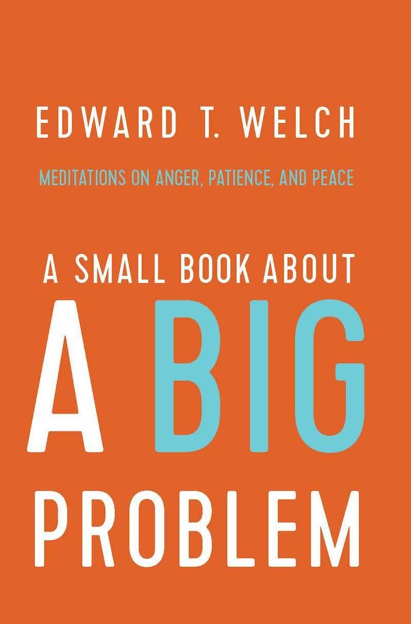 A Small Book about a Big Problem: Meditations on Anger, Patience and Peace Featured Image