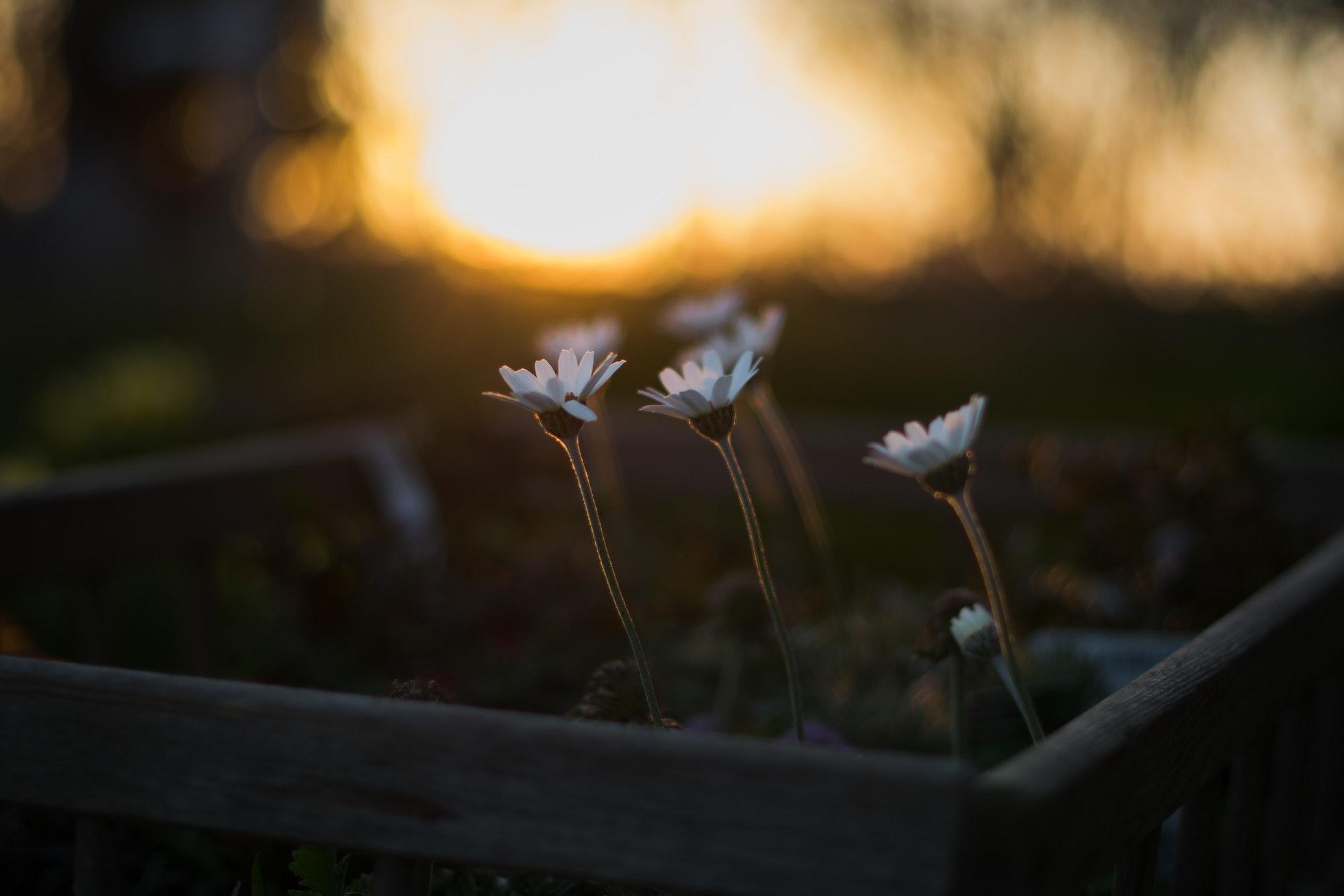Counseling and sanctification Featured Image