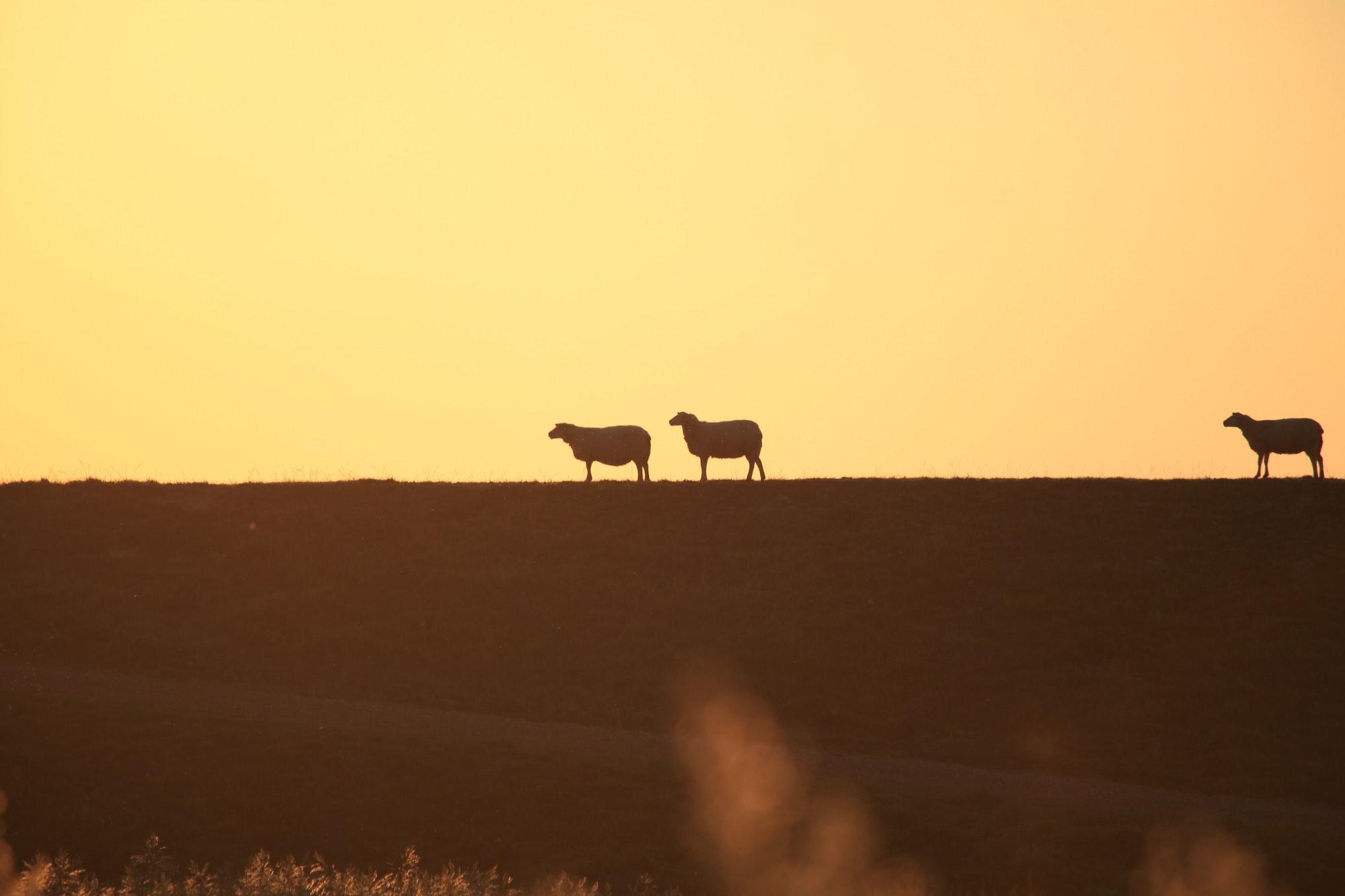 The Great Commission is a great place to begin to understand biblical counseling Featured Image