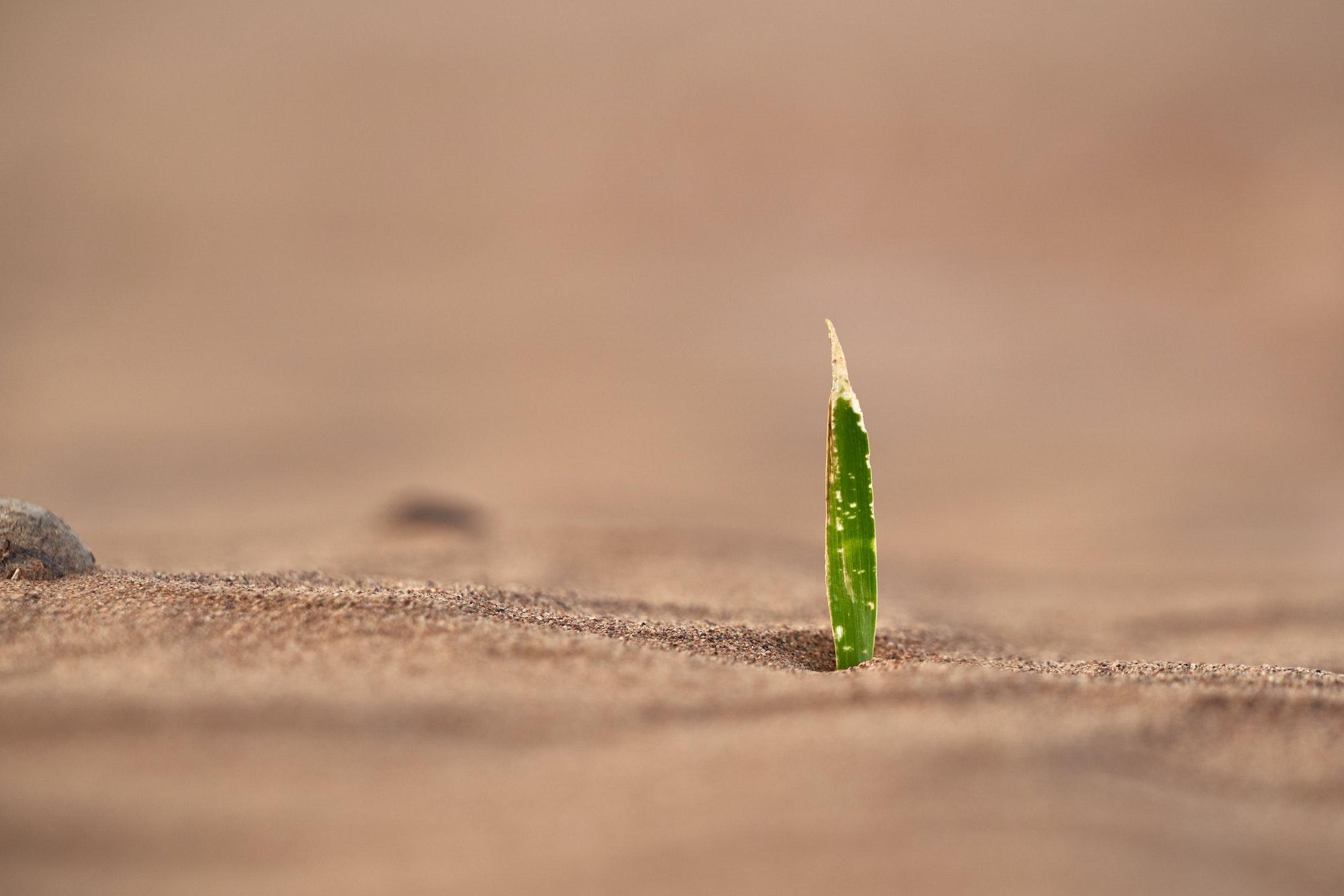 Alone and “not alone” Featured Image