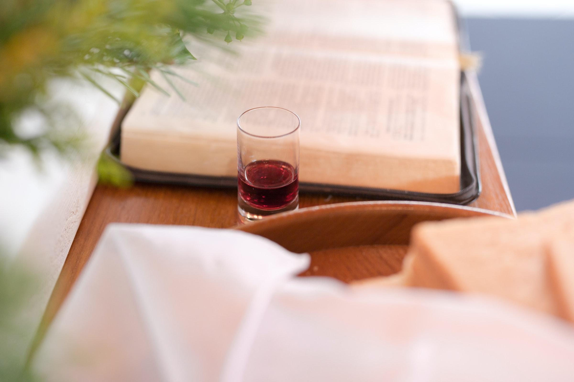 More evidence that scripture is of divine origin Featured Image