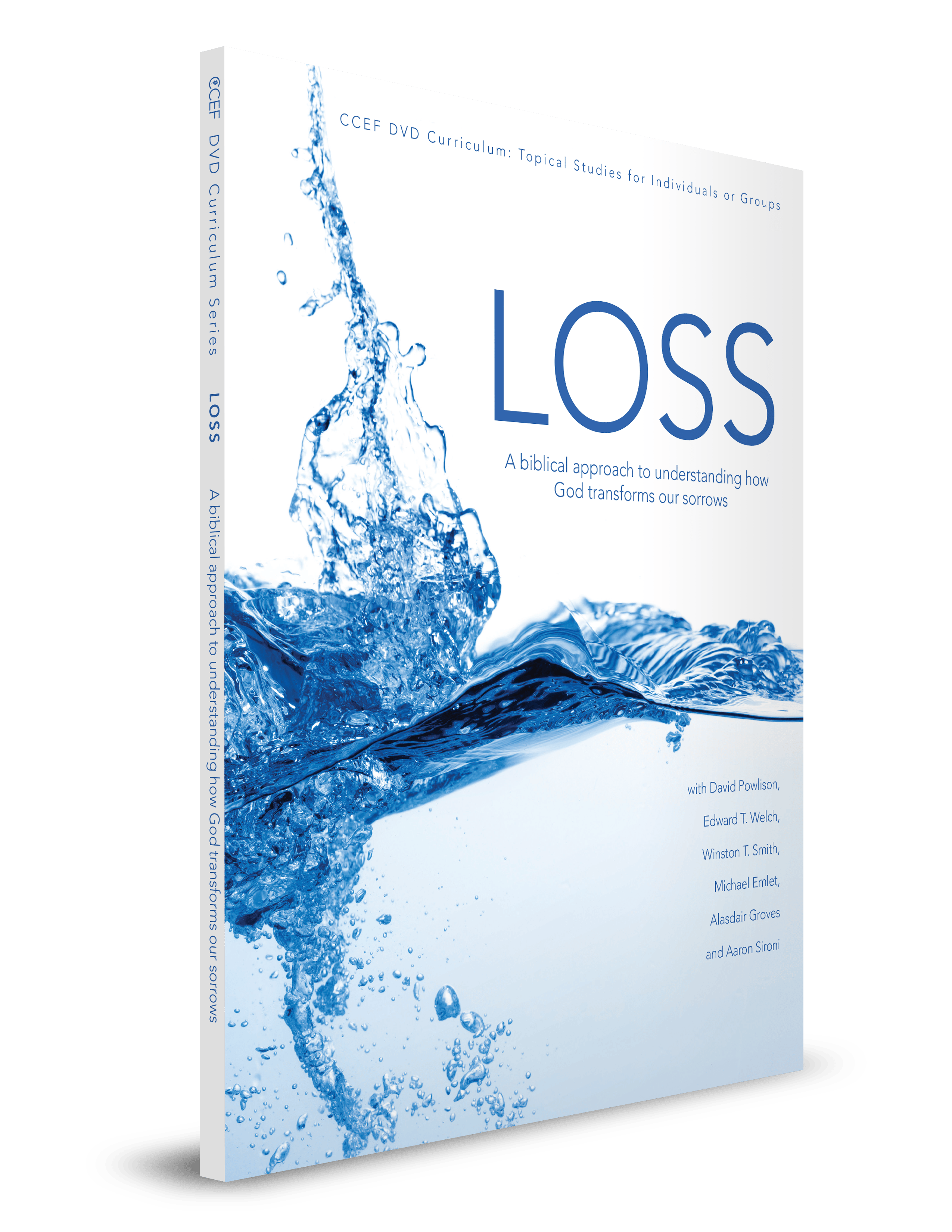 Loss Curriculum (Single Workbook Only, DVD not Included) Featured Image
