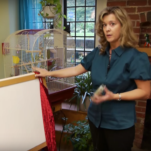 A Look into a Counselor’s Office for Children & Family Featured Image