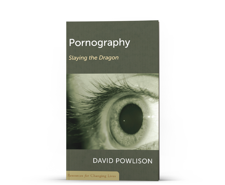 Pornography: Slaying the Dragon Featured Image