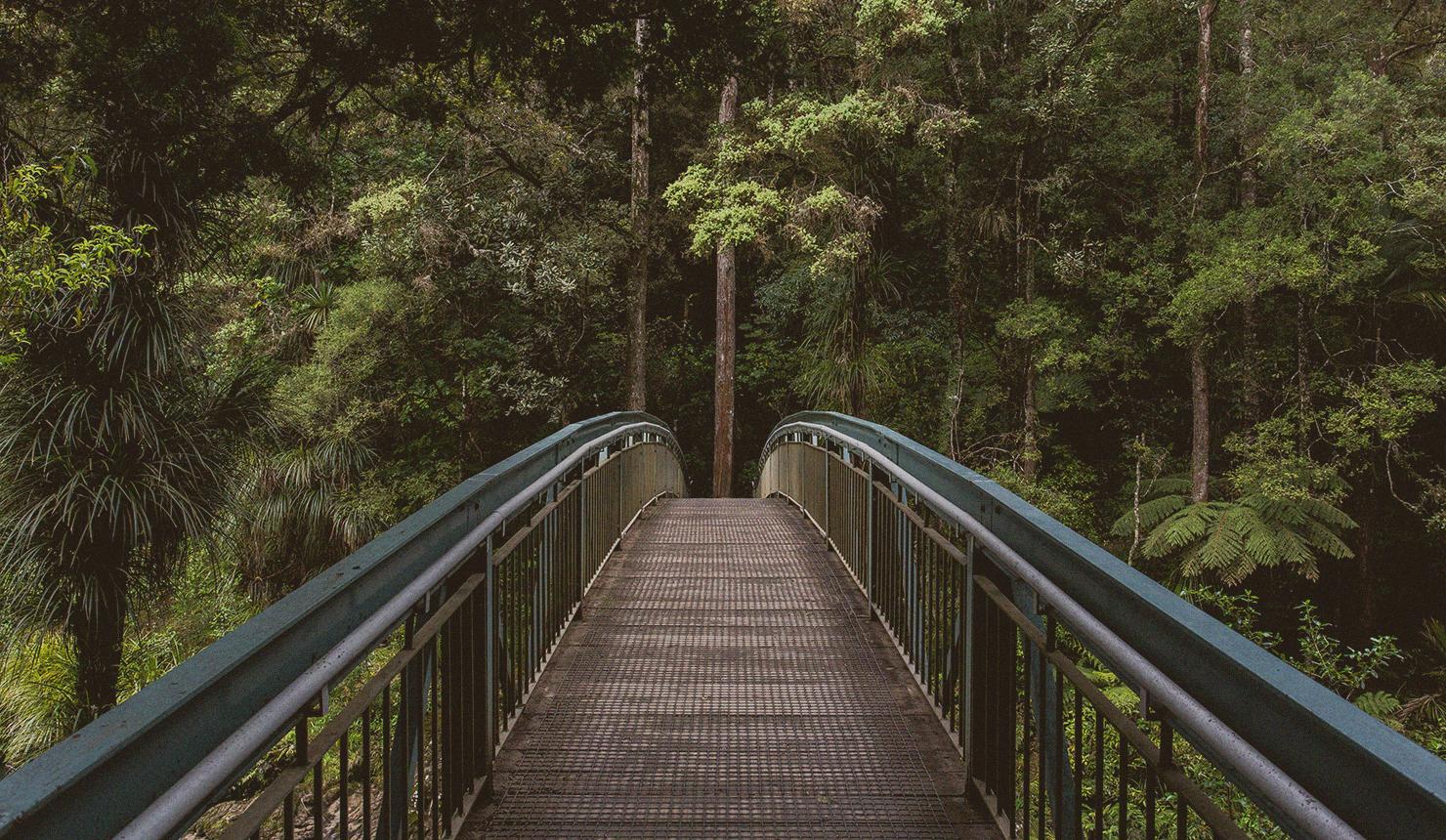 Understanding &amp; Cultivating Forgiveness