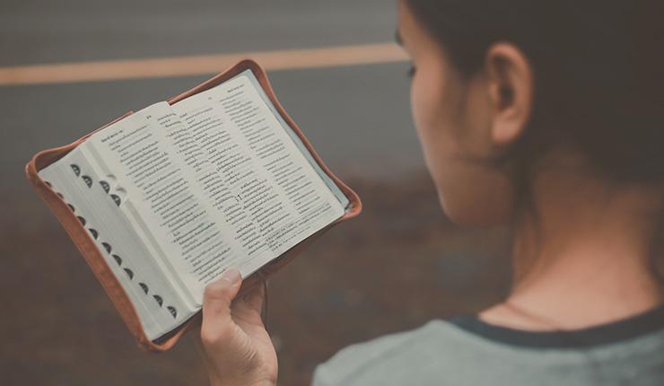 Motives: Why Do I Do the Things I Do?