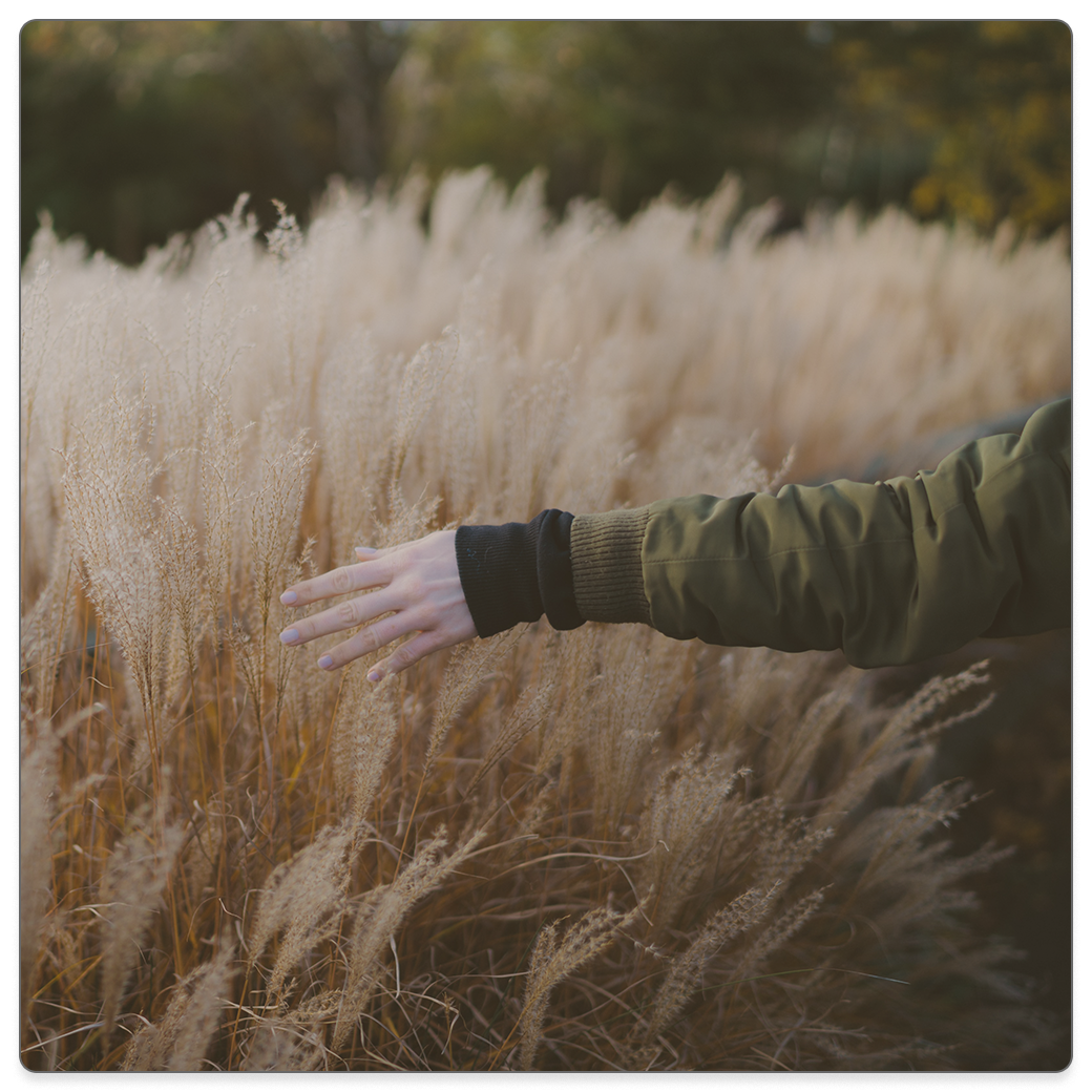 When God Touches the Untouchables