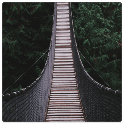 Counseling, Apologetics, and Calling: A Tribute to David Powlison