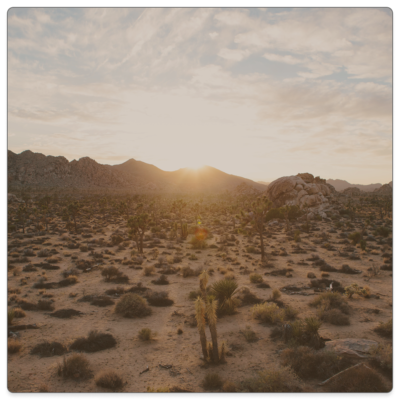 More Than a Proof Text: “When you’re in the wilderness, God clings to you.” (Psalm 63)