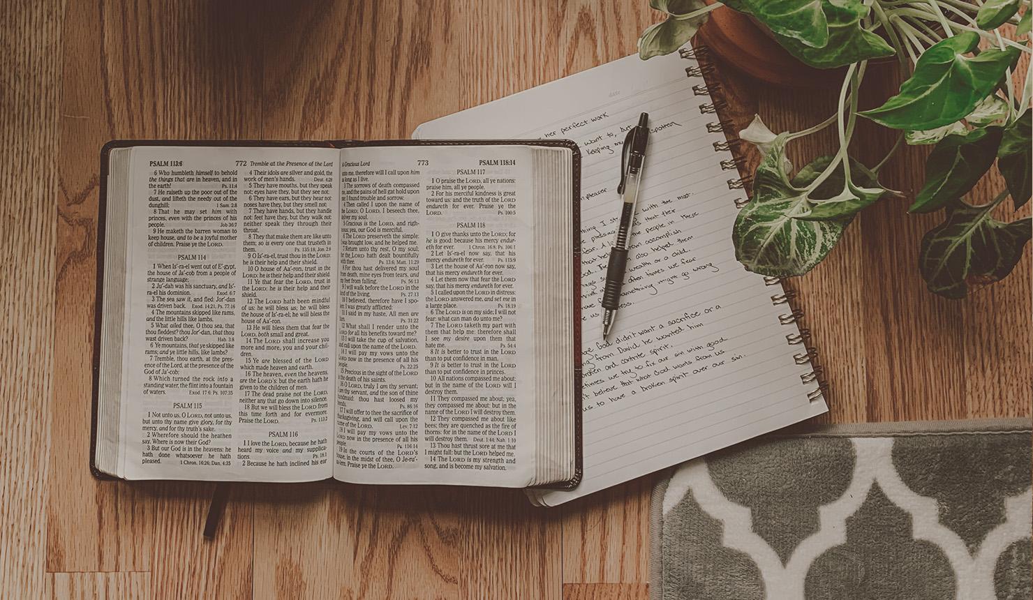 How Do You Personally Engage with Scripture?