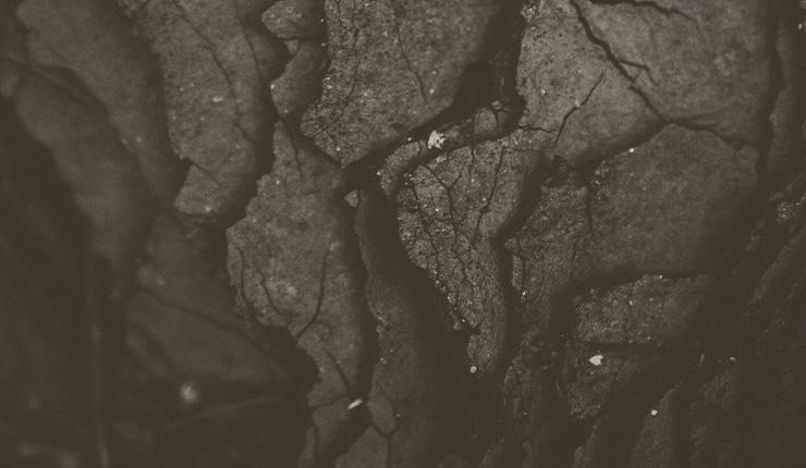 The Many Faces of Shame