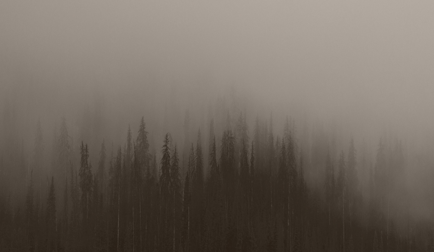 Featured image for Addictions (Part 2)