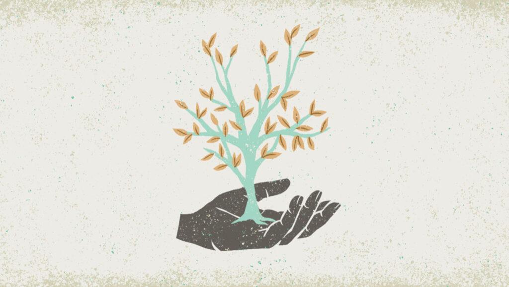 Why Pastors Have a Unique Responsibility to Counsel