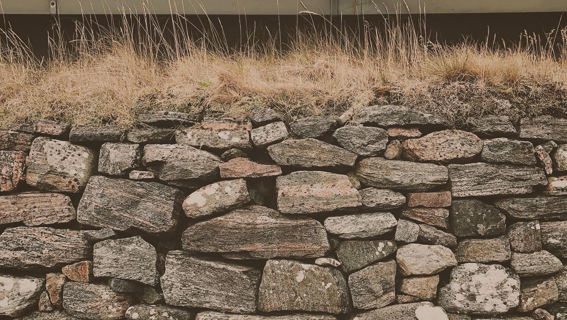 God Does Not Despise the Small Things