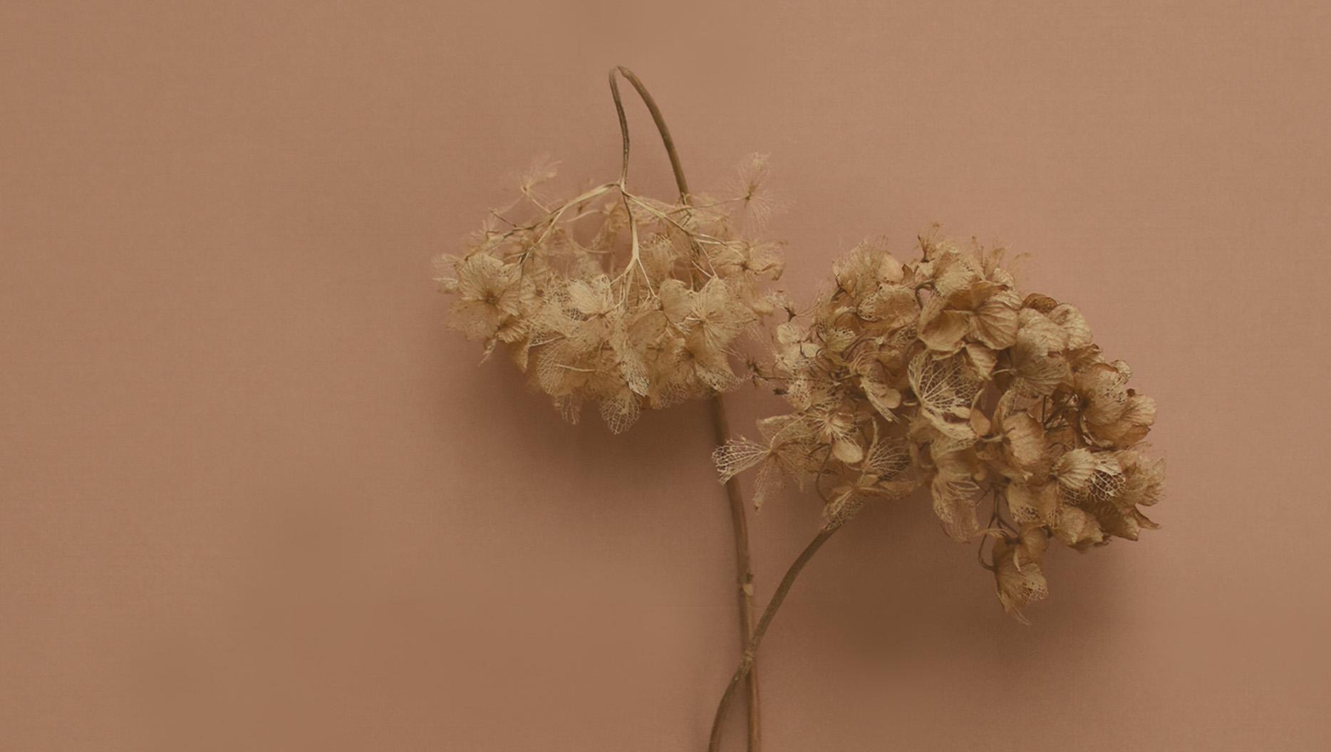 Negative Emotions (Part 2)