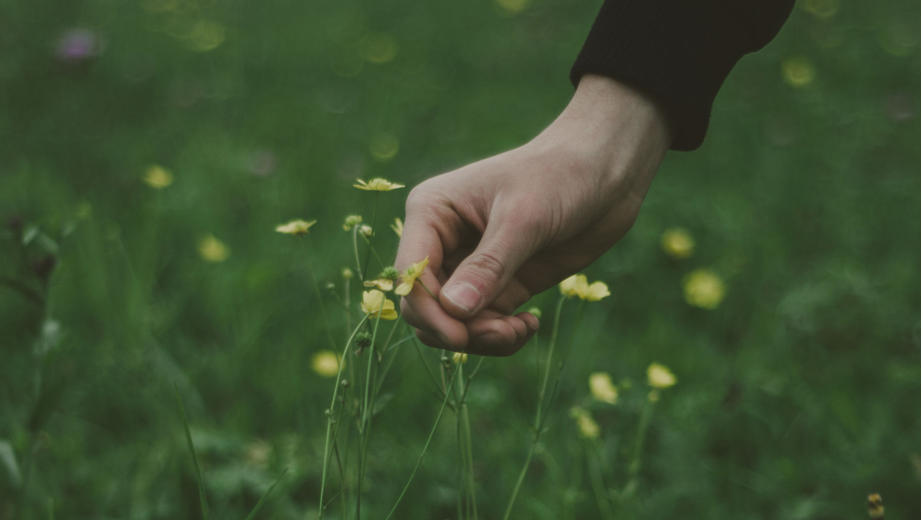 Featured image for Psalm 103