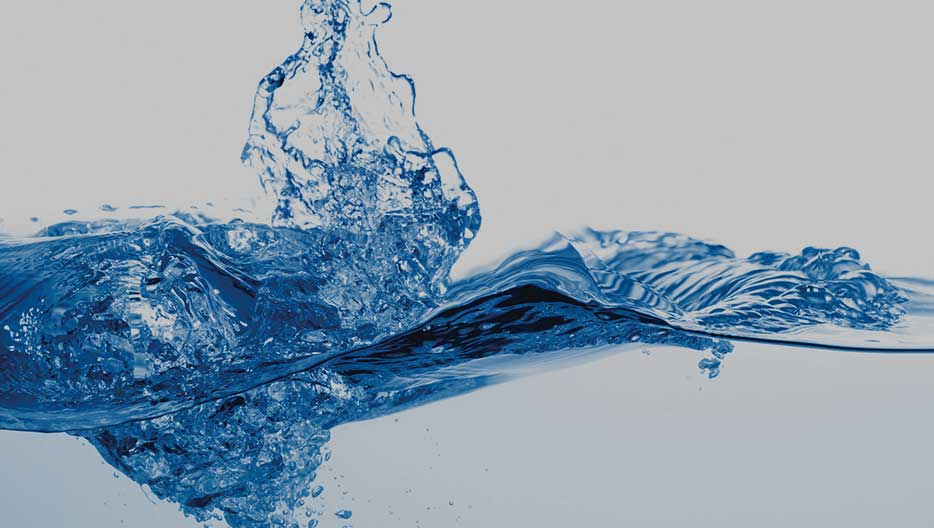 Hero banner image for Loss Curriculum