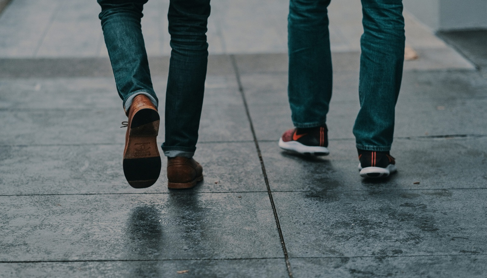 Hero image for Our Counselors