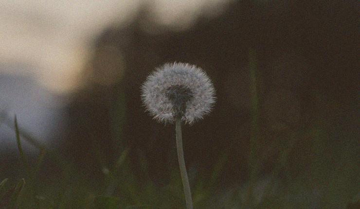 A New Prayer for Anxiety