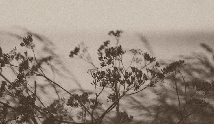 Bringing Hope in the Aftermath of Trauma: Danielle’s Story