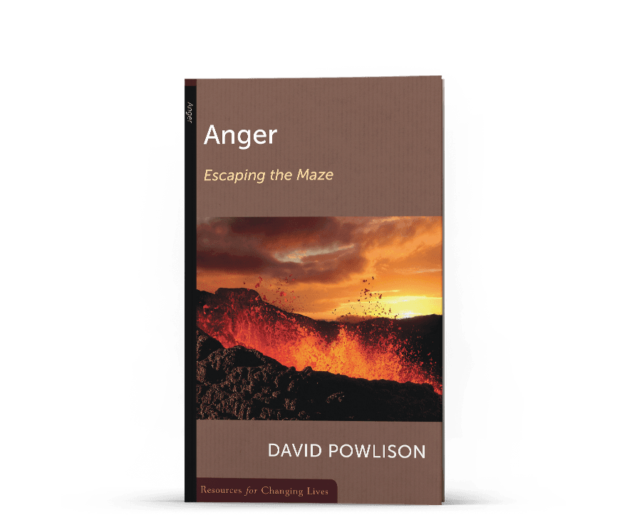 Book cover for Anger: Escaping the Maze