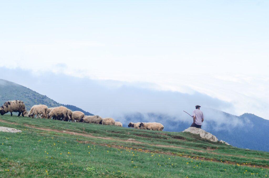 Ways I’ve grown in pastoral care by Steve Casey Featured Image