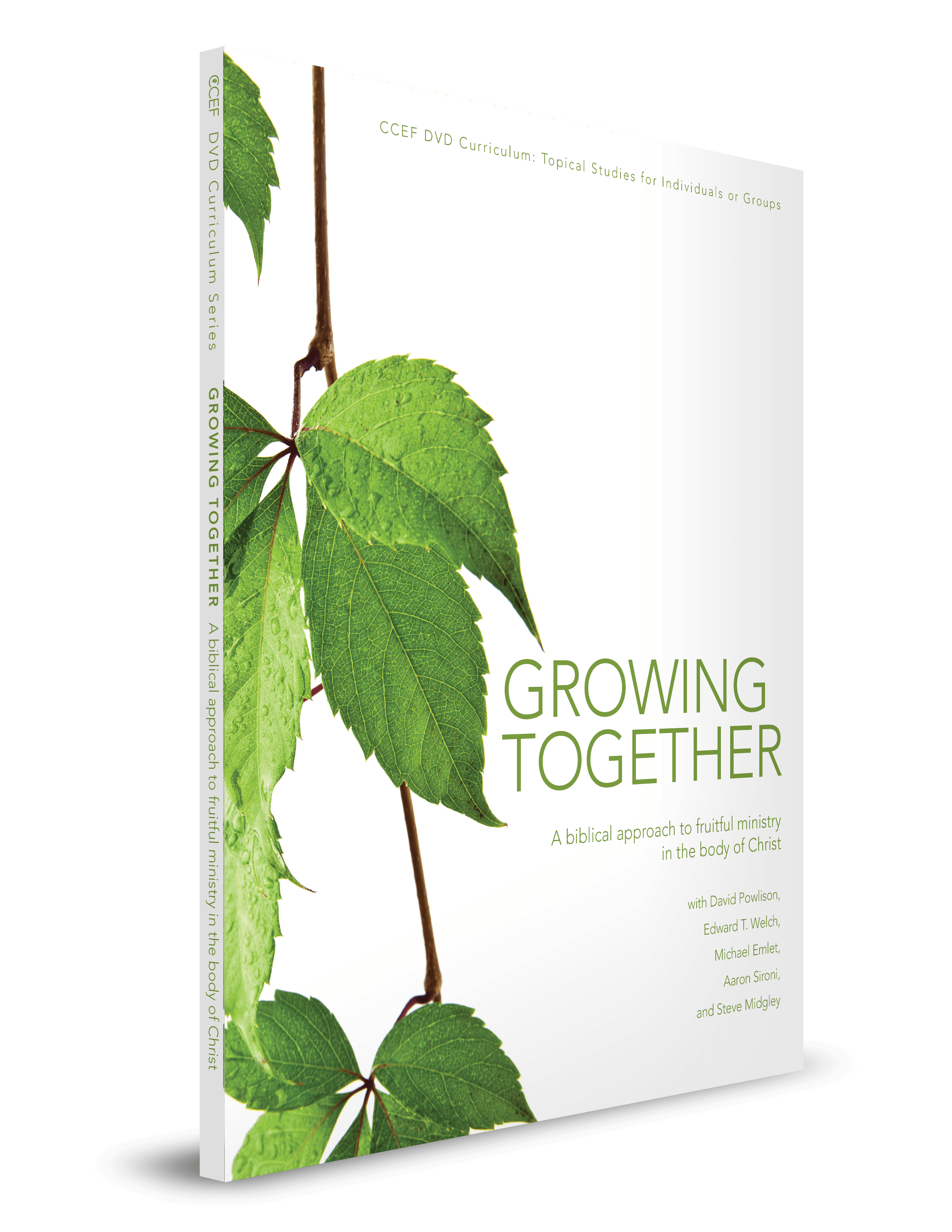 Featured image for Growing Together Curriculum (Single Workbook Only, DVD Not Included)