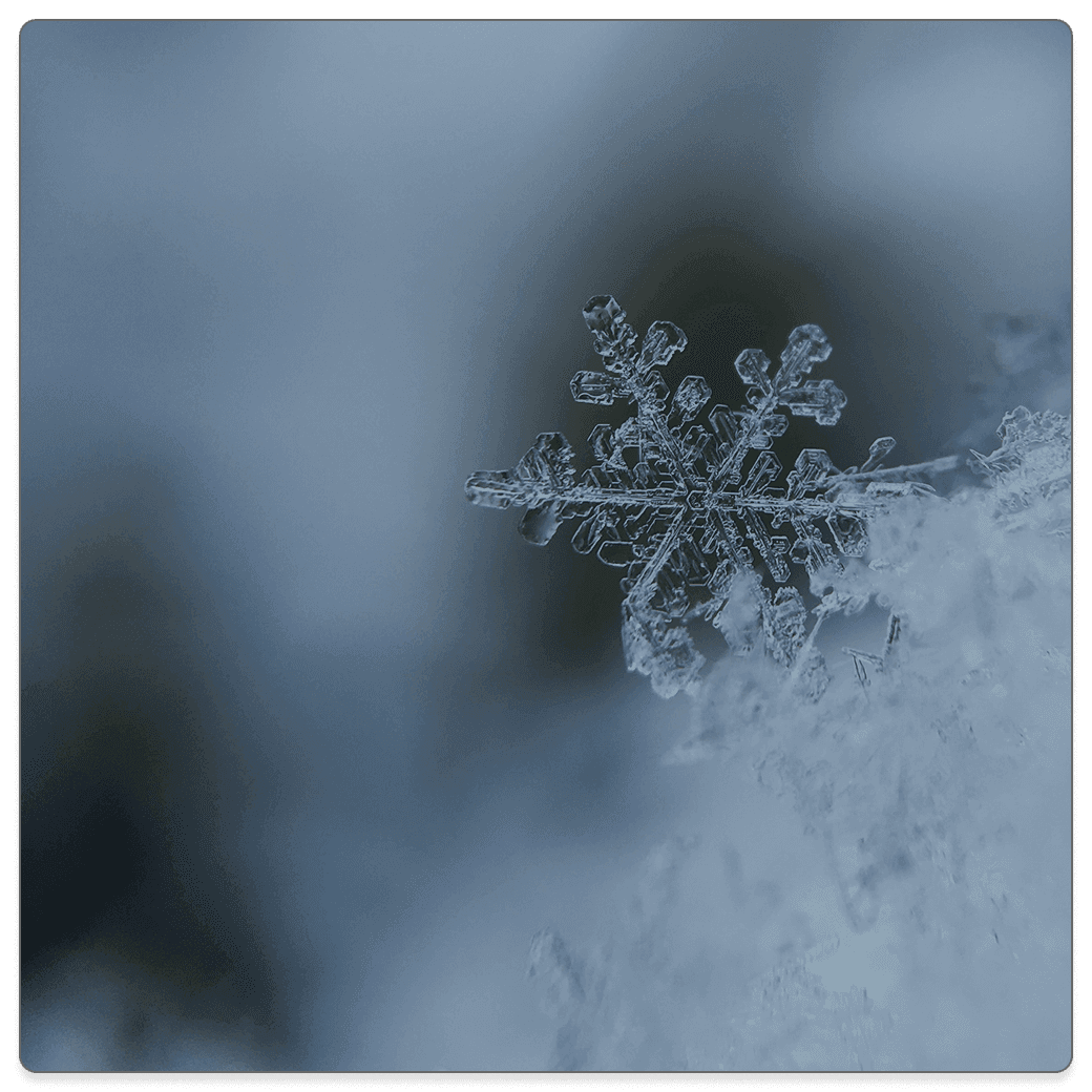 Growing in Weakness: A Tribute to David Powlison Featured Image