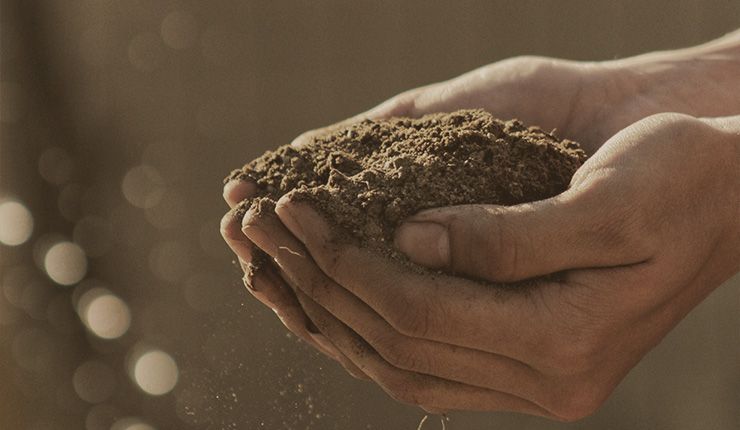 Featured image for In Pursuit of Hope