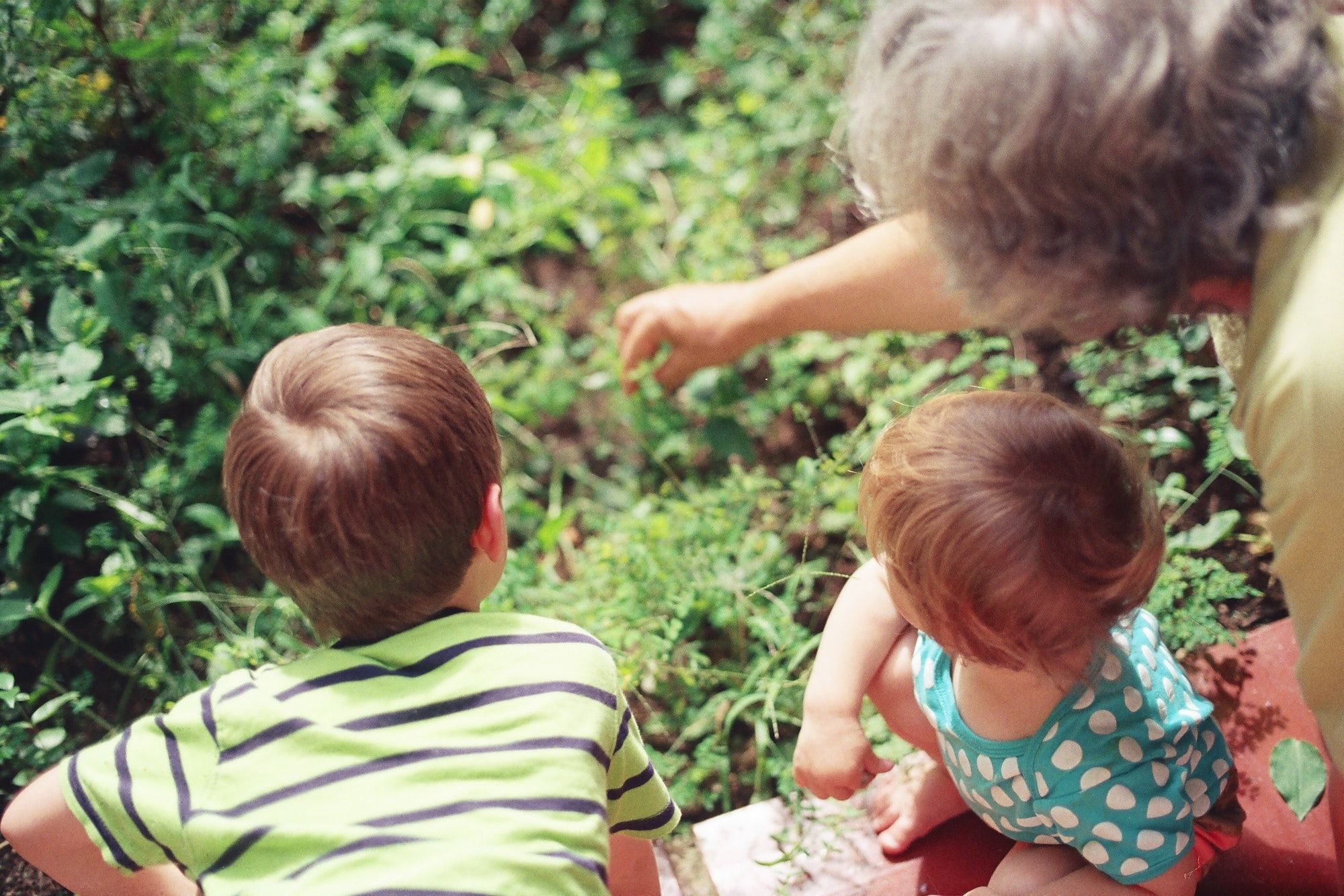 Featured Image for “Want to see pictures of my grandchildren?”