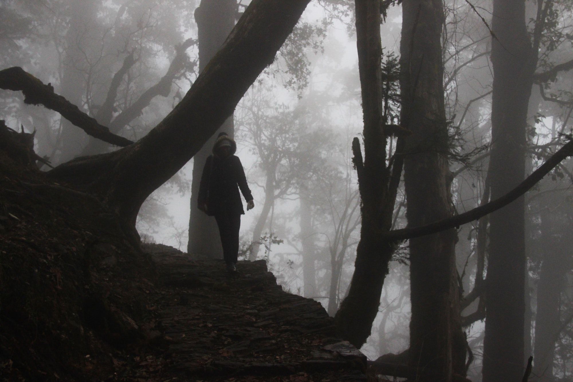 Featured Image for An Update on Fear