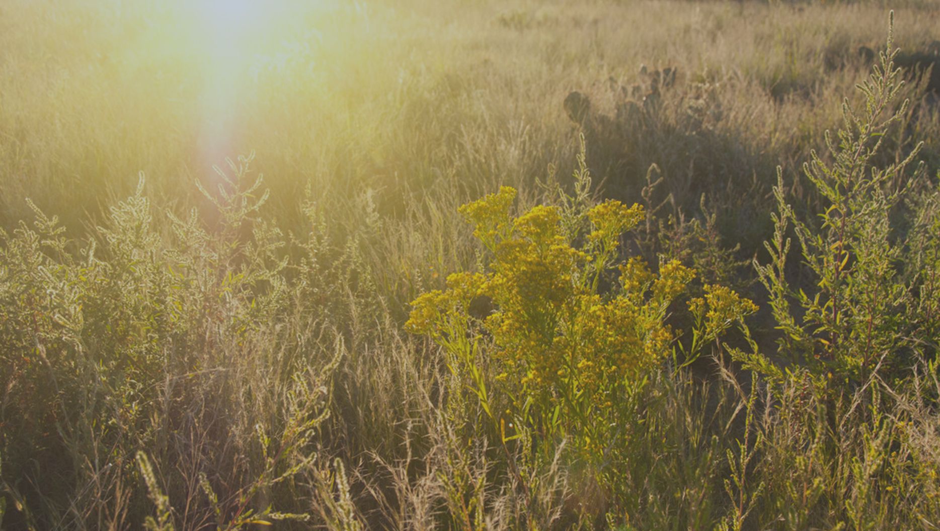 Featured Image for Braille and the God who sees