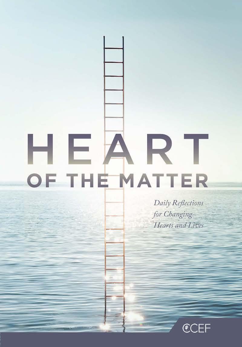 Book cover for Heart of the Matter