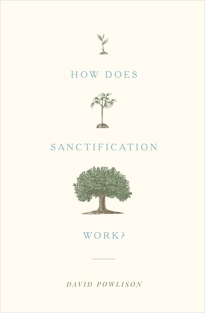 How Does Sanctification Work? Featured Image