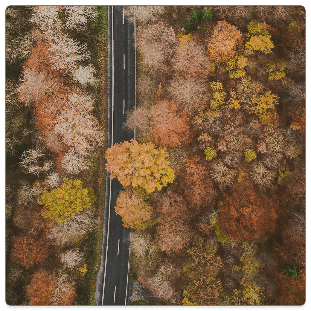 Featured image for Changing Seasons