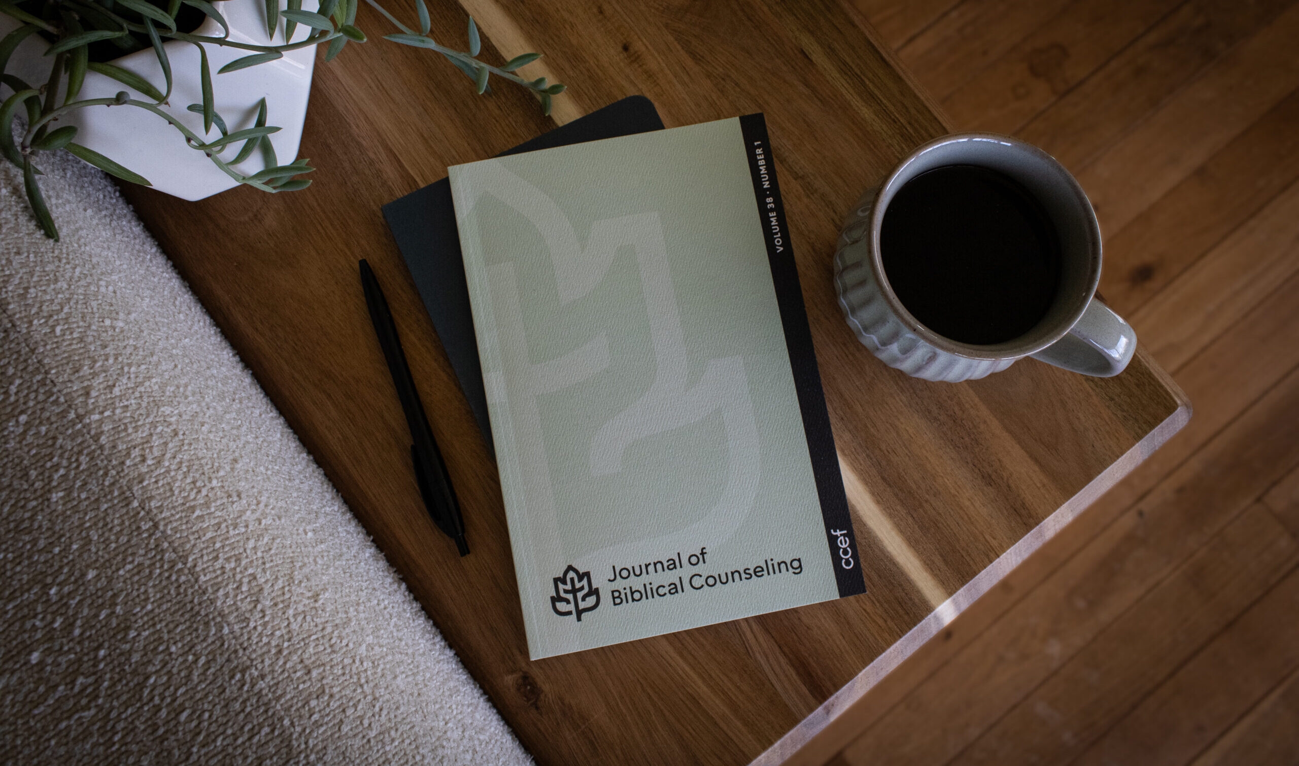 Hero banner image for Journal of Biblical Counseling
