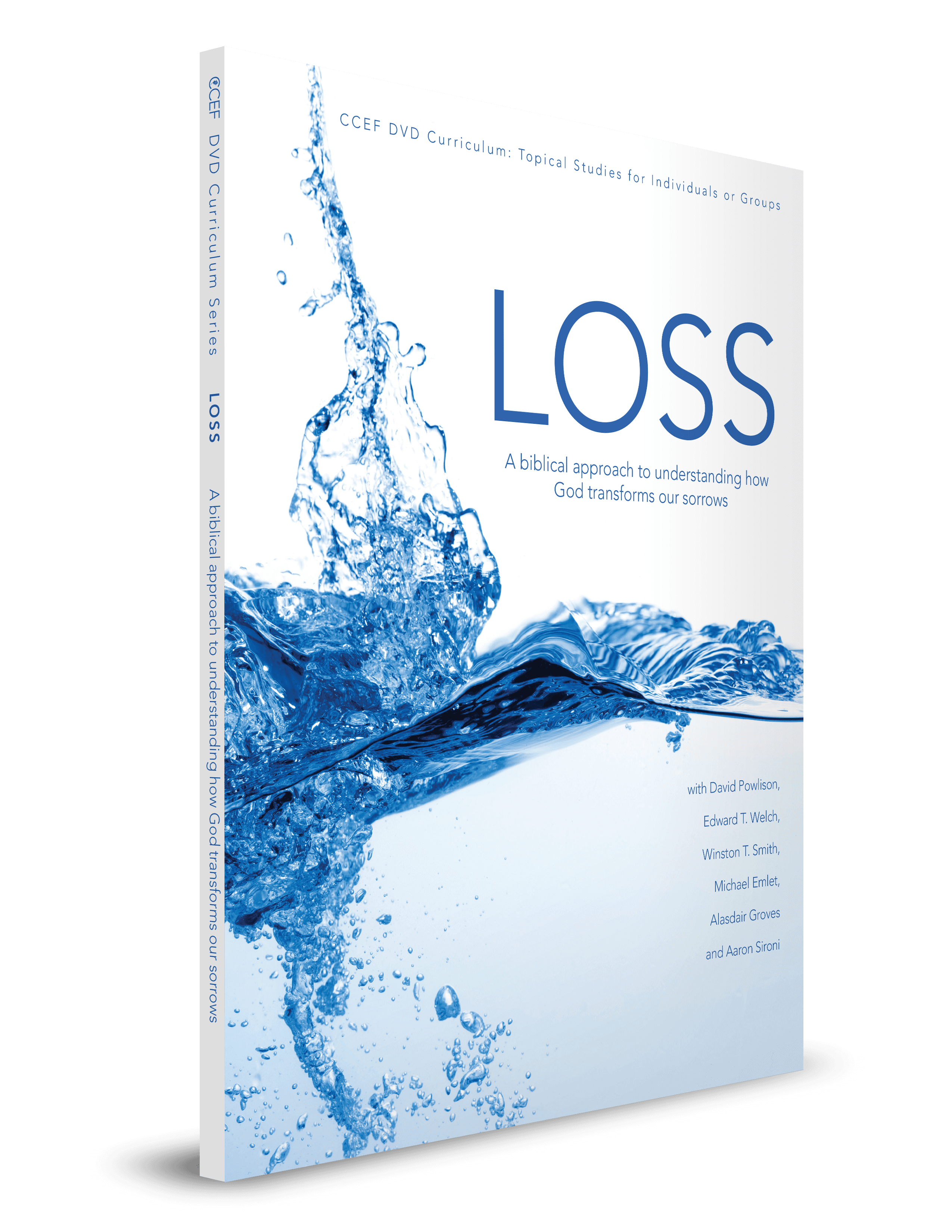 Featured image for Loss Curriculum (Single Workbook Only, DVD not Included)
