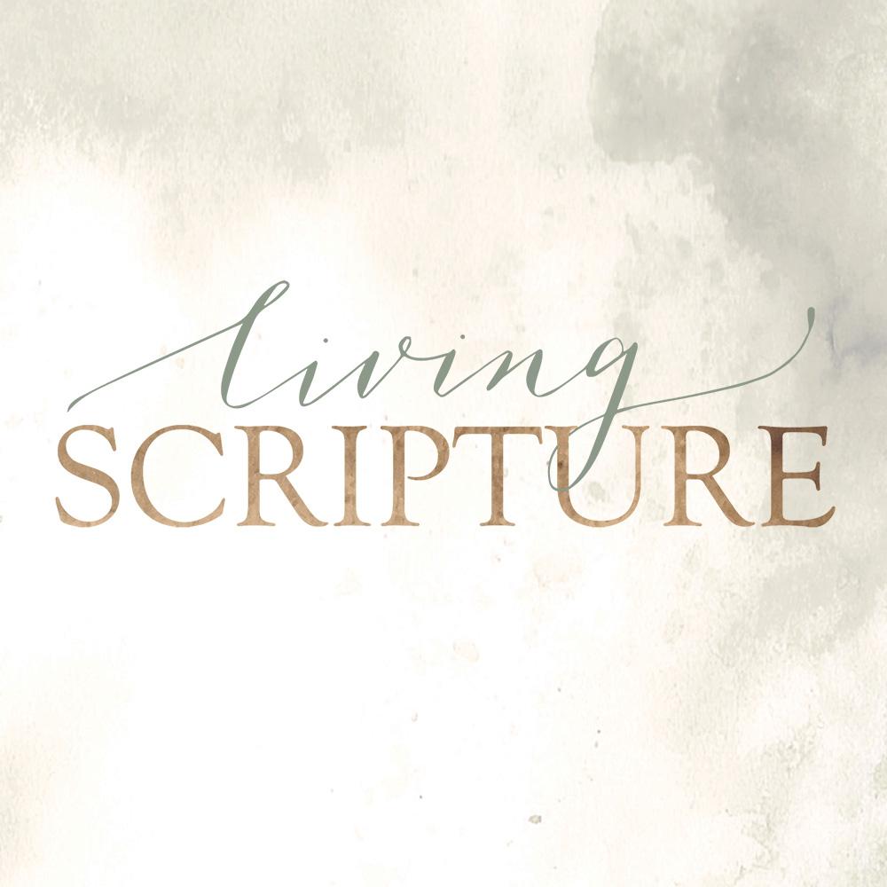 Featured image for Hearing Scripture Speak into Your Sorrow