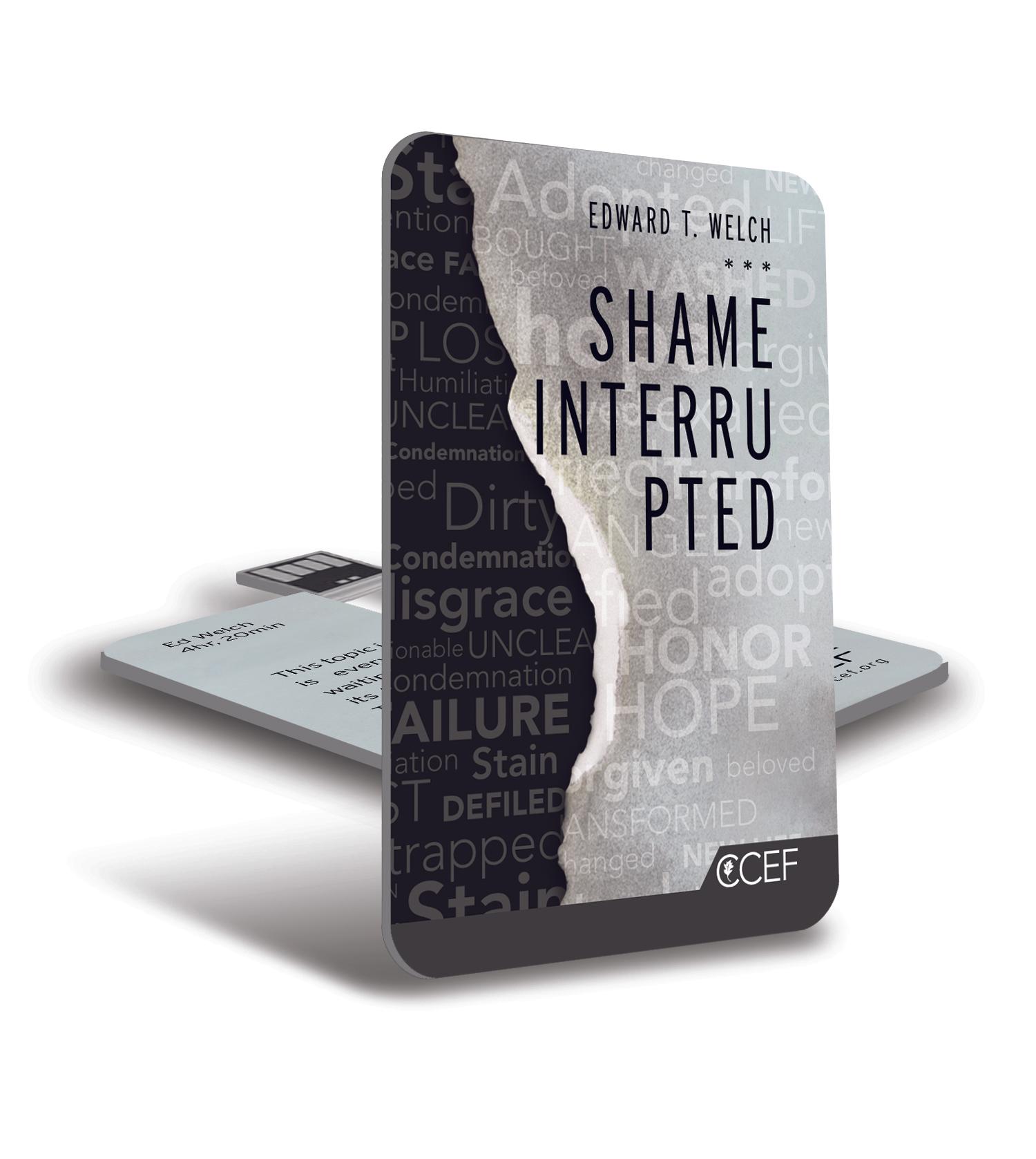 Featured image for Shame Interrupted: USB Card