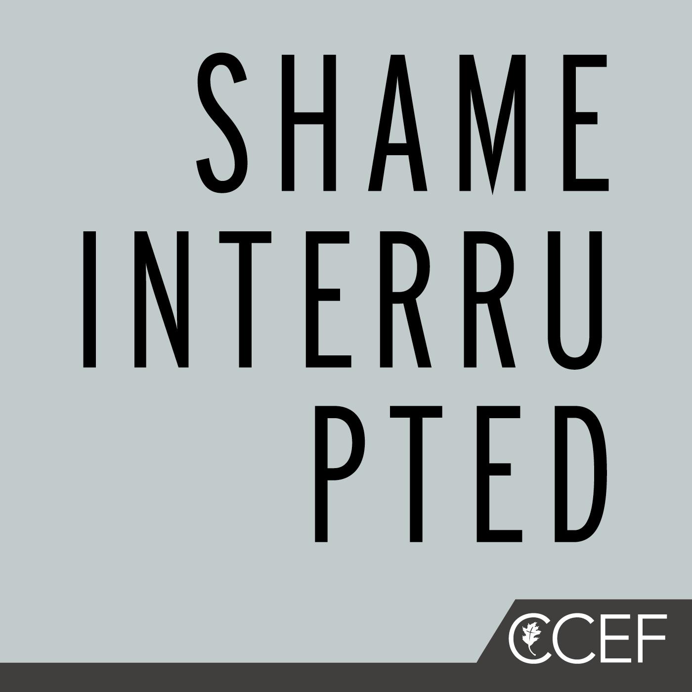 Featured image for Shame Interrupted - Audio Book